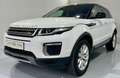 Land Rover Range Rover Evoque SE 2,0 TD4 e-Capability Weiß - thumbnail 8