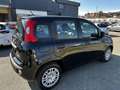 Fiat Panda 1.0 firefly hybrid s&s 70cv Чорний - thumbnail 4