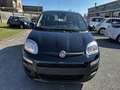 Fiat Panda 1.0 firefly hybrid s&s 70cv Чорний - thumbnail 2