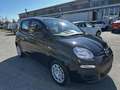 Fiat Panda 1.0 firefly hybrid s&s 70cv Чорний - thumbnail 3