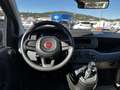 Fiat Panda 1.0 firefly hybrid s&s 70cv Чорний - thumbnail 18