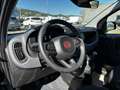 Fiat Panda 1.0 firefly hybrid s&s 70cv Чорний - thumbnail 10