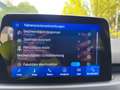 Ford Focus 1,5L EcoBlue 120 PS,*Neues Modell*, LED, Navi,..* Weiß - thumbnail 29