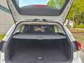 Ford Focus 1,5L EcoBlue 120 PS,*Neues Modell*, LED, Navi,..* Weiß - thumbnail 12
