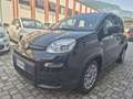 Fiat Panda Panda 1.0 firefly hybrid Nero - thumbnail 2