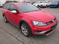 Volkswagen Golf Variant Golf Variant Alltrack BMT 2,0 TDI 4Motion Alltrack Rot - thumbnail 7