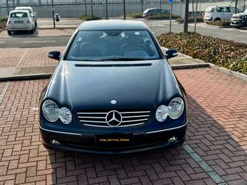 Coupe Avantgarde c/pelle