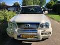 Toyota Land Cruiser LEXUS LX470 ( Landcruiser 100-Series ) 7-persoons Beige - thumbnail 6