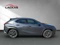 Lexus UX 250h 250h F-Sport Design*15J.GARANTIE* Grau - thumbnail 6