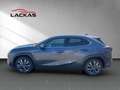 Lexus UX 250h 250h F-Sport Design*15J.GARANTIE* Grau - thumbnail 2