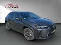 Lexus UX 250h 250h F-Sport Design*15J.GARANTIE* Grau - thumbnail 7