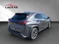Lexus UX 250h 250h F-Sport Design*15J.GARANTIE* Grau - thumbnail 5