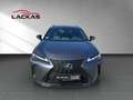 Lexus UX 250h 250h F-Sport Design*15J.GARANTIE* Grau - thumbnail 8
