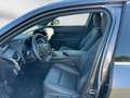 Lexus UX 250h 250h F-Sport Design*15J.GARANTIE* Grau - thumbnail 9