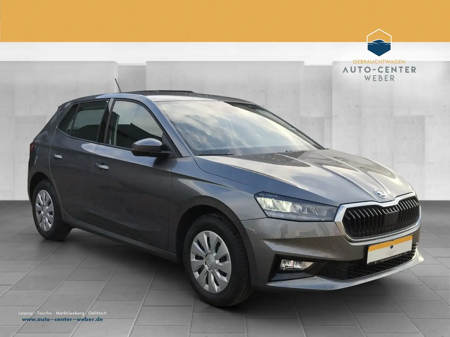 Skoda Fabia 1.0 MPI Selection KeyLess*KlimaA*LED*LM Grau - 1