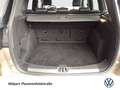 Ford Kuga 1.5 ST-LINE KAMERA LM19 NAVI XENON SITZHEIZ Argent - thumbnail 15