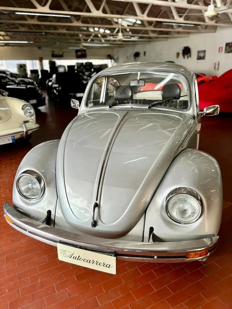 Volkswagen Maggiolino Grijs - 2