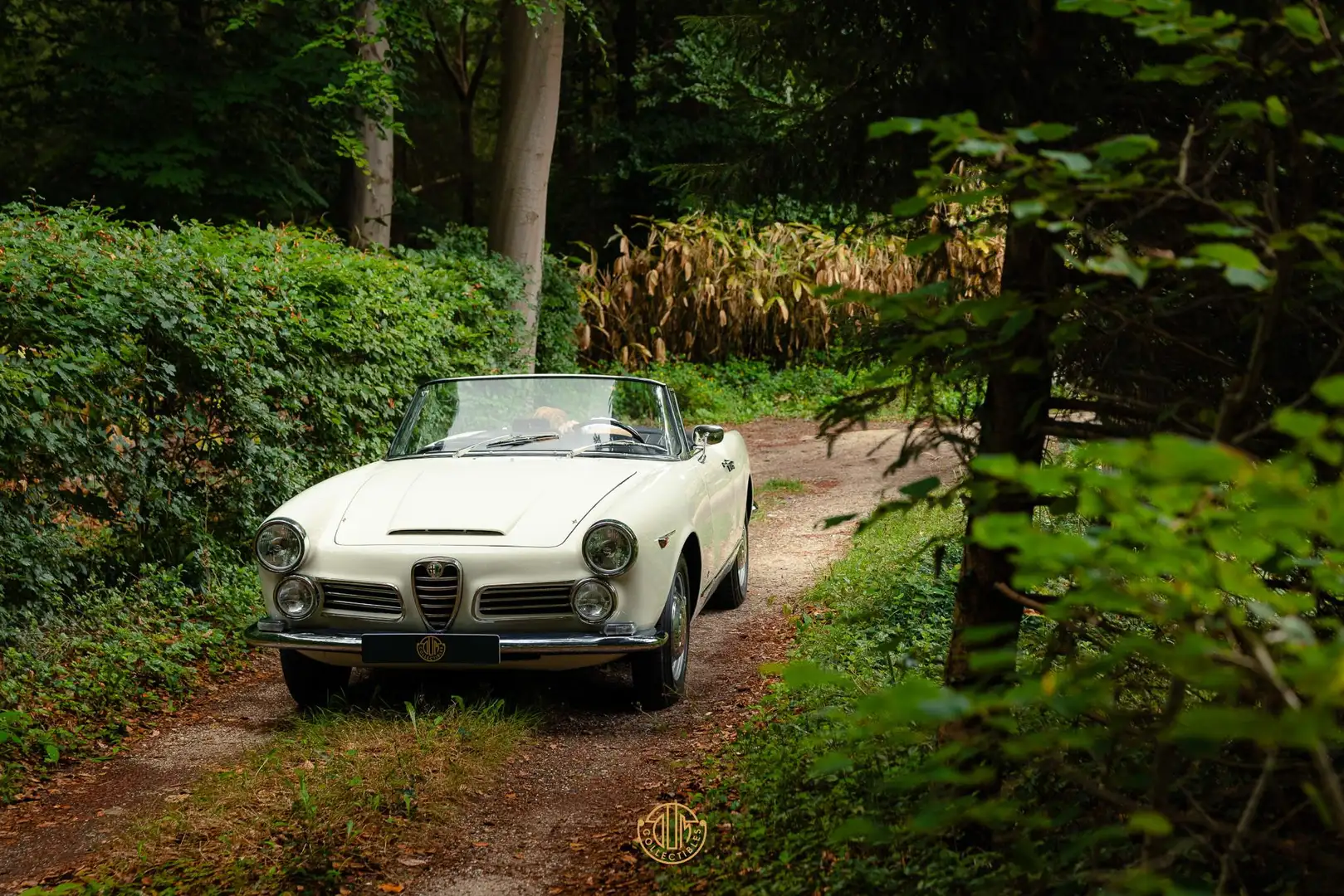 Alfa Romeo Spider 2600 Weiß - 1