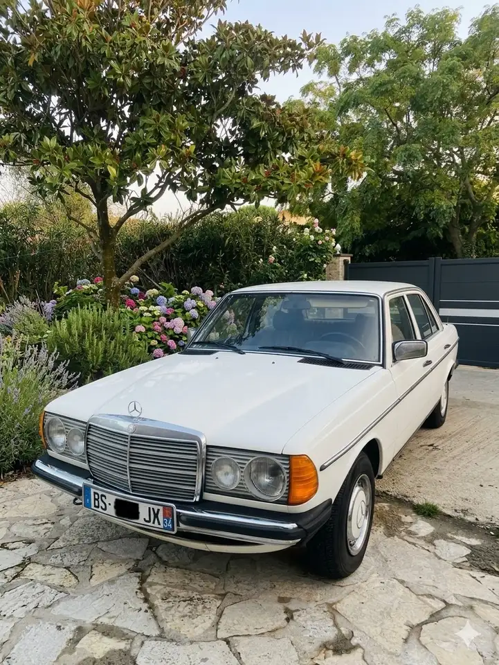Mercedes-Benz 230 1976