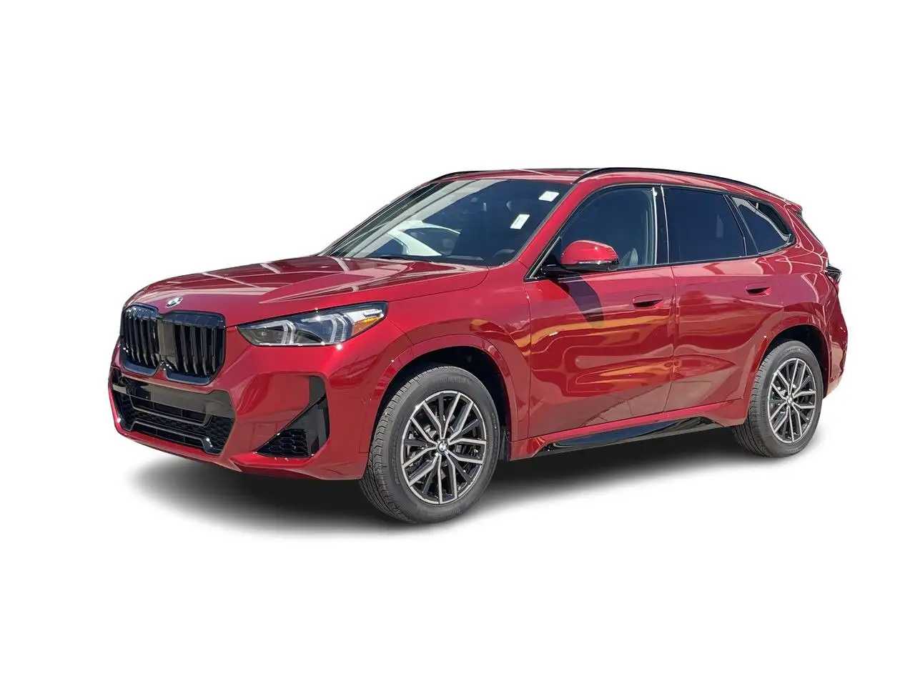 BMW X1 photo BMW X1