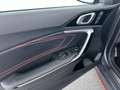 Kia ProCeed / pro_cee'd GT 1.6*NAVI*SHZ*RFK*uvm Сірий - thumbnail 11