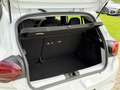Dacia Sandero 1.0 TCe 90 Essential Airco | Cruise control Weiß - thumbnail 11