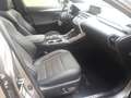 Lexus NX 300h 2.5i AWD F Sport Line E-CVT (EU6.2) Gri - thumbnail 9
