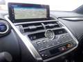 Lexus NX 300h 2.5i AWD F Sport Line E-CVT (EU6.2) Szary - thumbnail 13