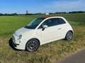 Fiat 500 FIAT 500 CABRIO 1.2 Twin air Wit - thumbnail 2