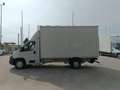 Fiat Ducato DUCATO MAXI FURGONE BOX CON SPONDA Bianco - thumbnail 4