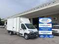 Fiat Ducato DUCATO MAXI FURGONE BOX CON SPONDA Bianco - thumbnail 1