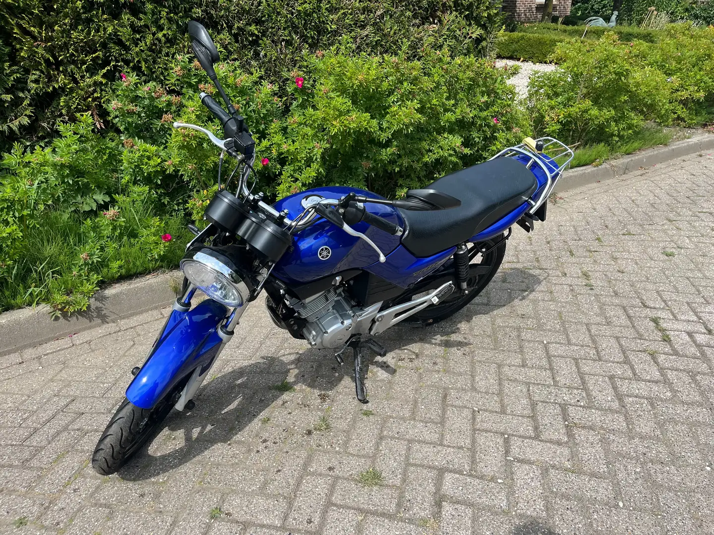Yamaha YBR 125 Blue - 1