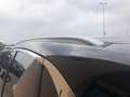 Ford Kuga 2022 1.5 ecoblue Titanium Bus. 120cv auto Nero - thumbnail 14
