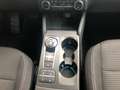 Ford Kuga 2022 1.5 ecoblue Titanium Bus. 120cv auto Noir - thumbnail 28