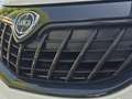 Lancia Ypsilon Ypsilon 1.0 FireFly 5 porte S&S Hybrid Silver Wit - thumbnail 19