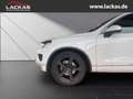 Volkswagen Touareg V6 TDI BMT Terrain Tech 4Motion 3.0 *AHK*NAVI*LEDE Weiß - thumbnail 21
