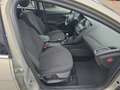 Ford Focus Titanium 1.0 Navi Mehrzonenklima Ambientebeleuchtu Grau - thumbnail 13