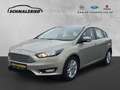 Ford Focus Titanium 1.0 Navi Mehrzonenklima Ambientebeleuchtu Grau - thumbnail 1