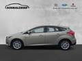 Ford Focus Titanium 1.0 Navi Mehrzonenklima Ambientebeleuchtu Grau - thumbnail 2