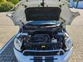 MINI Countryman S All4 184 PS, Kurvenlicht, neu Bremse, neu Service Weiß - thumbnail 18