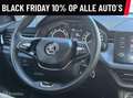 Skoda Kamiq 1.0 TSI Sport Business Dsg 7 hoge instap zuinig Bleu - thumbnail 16