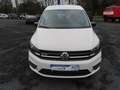 Volkswagen Caddy 1,4TGI Kombi Erdgas CNG Klima Sitzh. Temp. Weiß - thumbnail 5