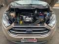 Ford EcoSport 1.0 EcoBoost 125 CV Start&Stop aut. Titanium - thumbnail 18