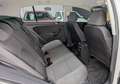 Volkswagen Golf Plus 1.6 TDI DPF Comf. BlueM. Tech. Wit - thumbnail 13