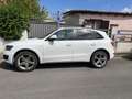 Audi Q5 2.0 tdi Advanced Plus quattro 170cv s-tronic - thumbnail 1