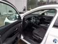 Hyundai TUCSON 4WD Hybrid Kamera Fahrassistent Paket Weiß - thumbnail 3
