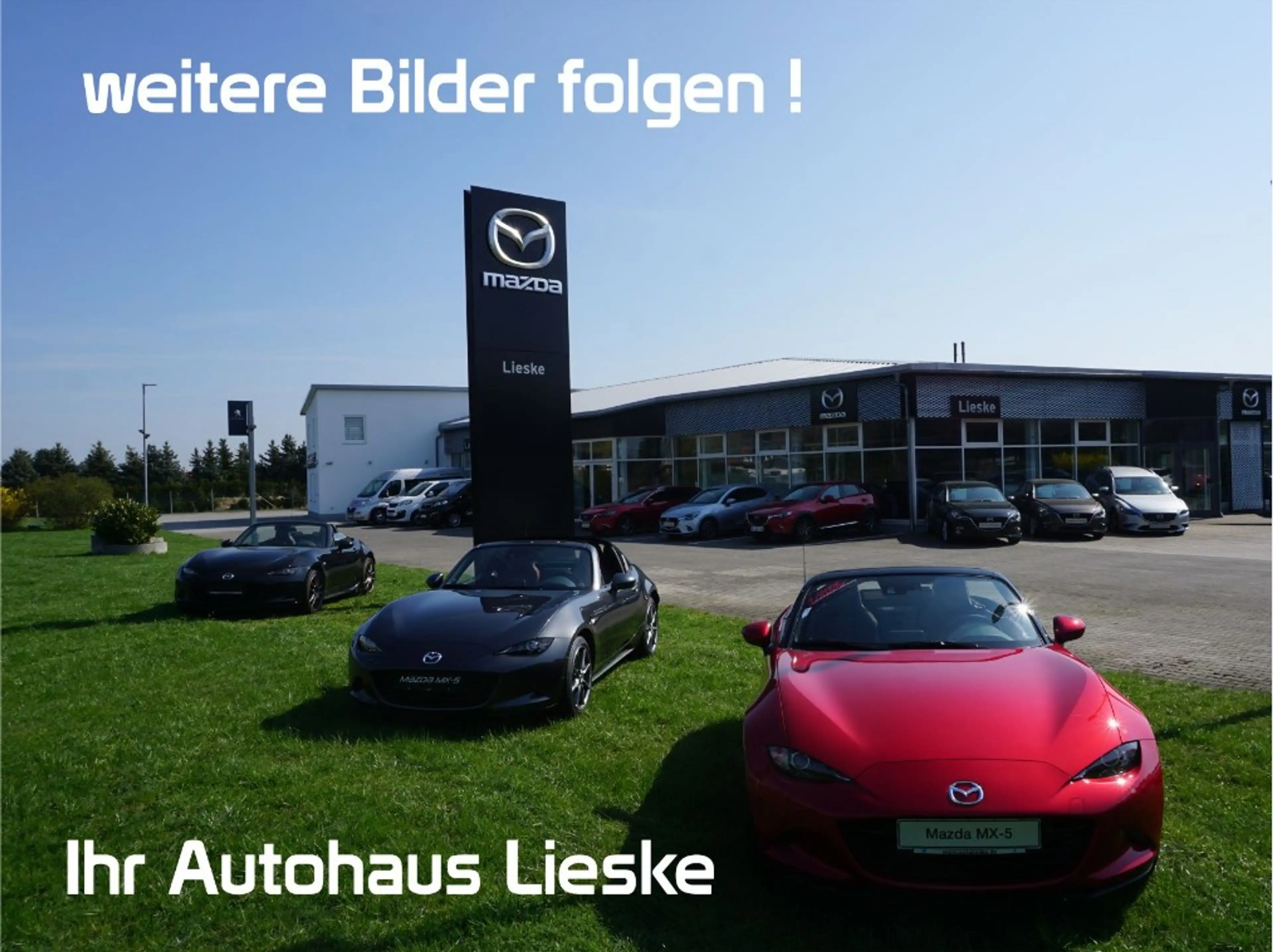 Mazda CX-60 e-SKYACTIV-D 254 AL-EXCLUSIVE CON-P