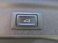 Audi Q3 35 TDI AUT. ASSIST+AHK+LEDER+Pano+Virtual Grau - thumbnail 22