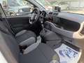 Fiat Panda 0.9 TwinAir Turbo Natural Power City Life Albastru - thumbnail 16