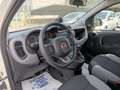 Fiat Panda 0.9 TwinAir Turbo Natural Power City Life Albastru - thumbnail 10
